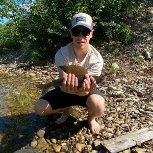 Meet your Posher, Mitchell